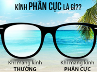 Kính phân cực là gì ?
