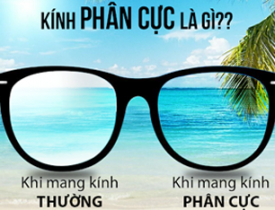 Kính phân cực là gì ?
